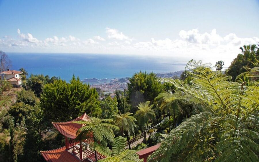 Funchal: Monte Palace Tropical Gardens Tuk Tuk Tour - The viewpoint stop and the church above the city
