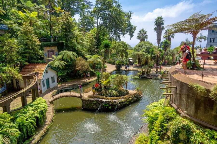 Funchal: Monte Palace Tropical Gardens Tuk Tuk Tour - Starting in Funchal and climbing toward Monte