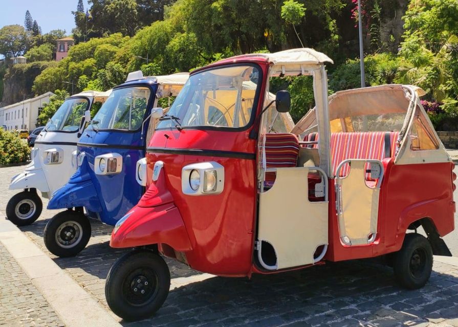 Funchal: Monte Toboggan and Old Town Tour by Tuk-Tuk - What happens if the carts stop