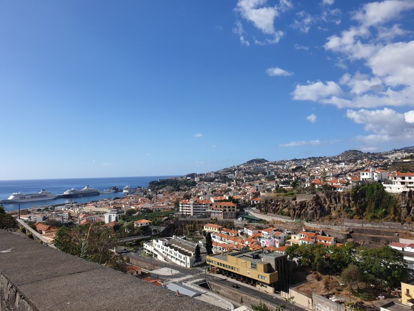 Funchal: Monte Toboggan and Old Town Tour by Tuk-Tuk - The ride back through Funchal
