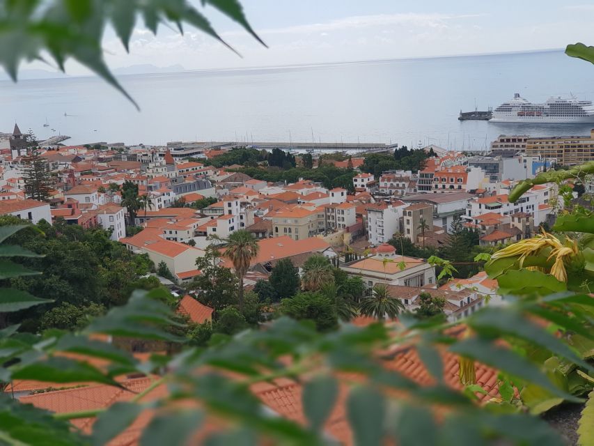 Funchal: Monte Toboggan and Old Town Tour by Tuk-Tuk - The guides make the difference