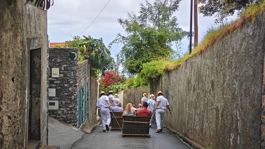 Funchal: Monte Toboggan and Old Town Tour by Tuk-Tuk - Price, timing, and practical value