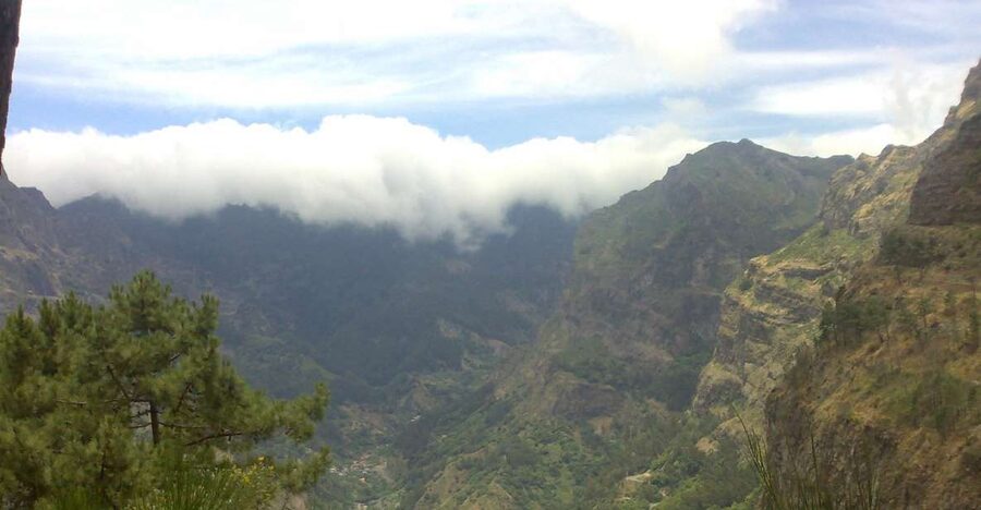 Funchal: Nuns Valley Half Day Tour - Why Pico dos Barcelos Makes a Strong Opening Stop