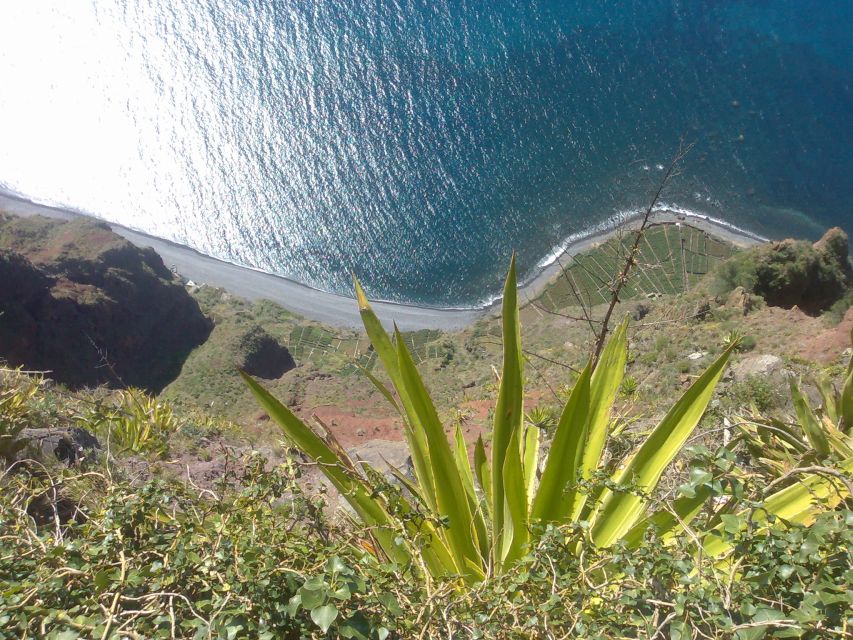 Funchal: Nuns Valley Half Day Tour - Curral das Freiras: A Village With a Refuge Story
