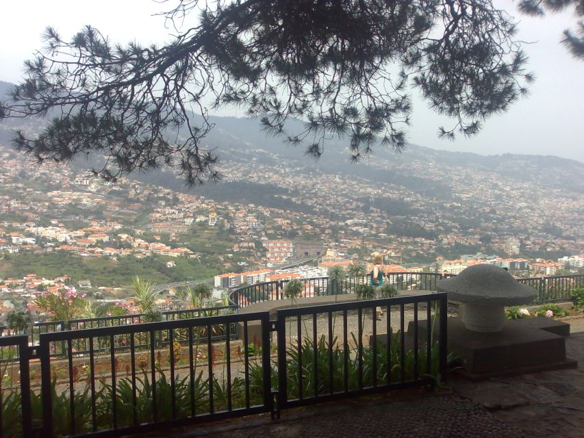 Funchal: Nuns Valley Half Day Tour - What the Guide Adds to the Experience