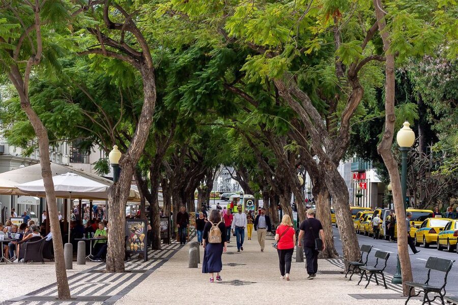 Funchal: Old Town Walking Tour - Starting inside the Jesuits’ College