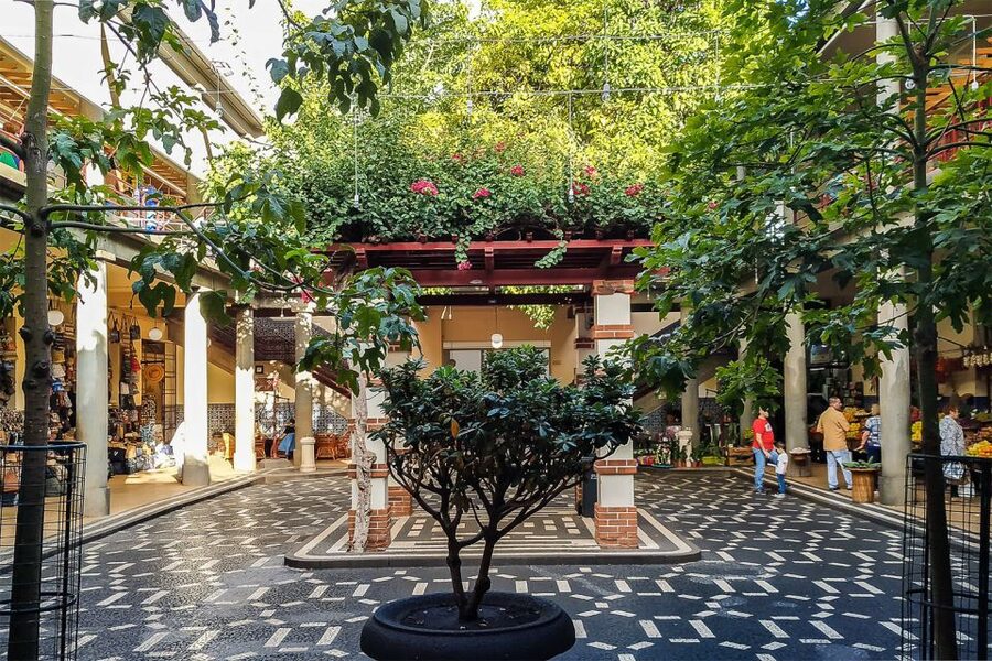 Funchal: Old Town Walking Tour - The Legislative Assembly and Funchal Cathedral