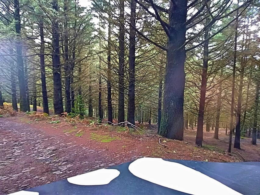 Funchal: Pico do Areeiro to Santana 4x4 East Tour - Guindaste and Madeira’s north coast