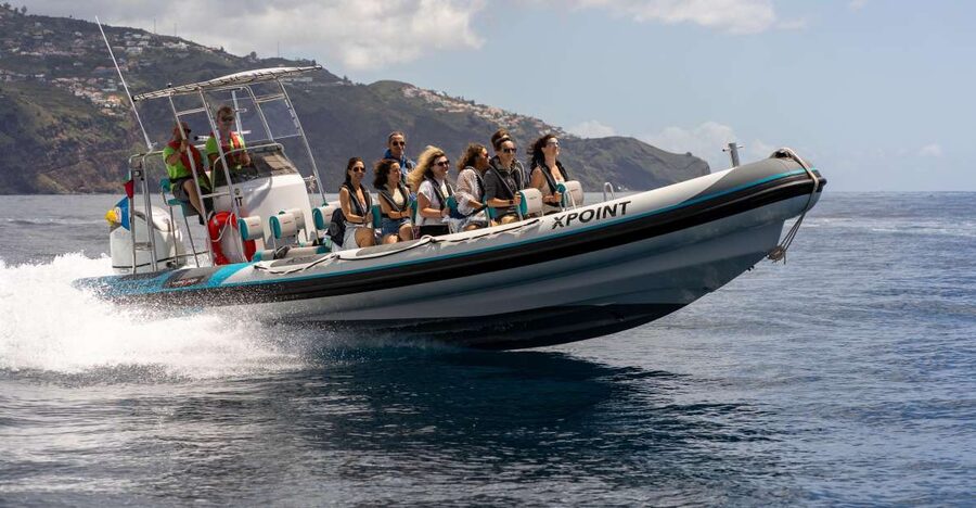 Funchal: RIB Whale Watching Cruise and Optional Dolphin Swim - Key Points Before You Book