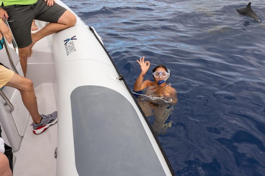Funchal: RIB Whale Watching Cruise and Optional Dolphin Swim - What This Funchal Whale-Watching Cruise Is Really Like