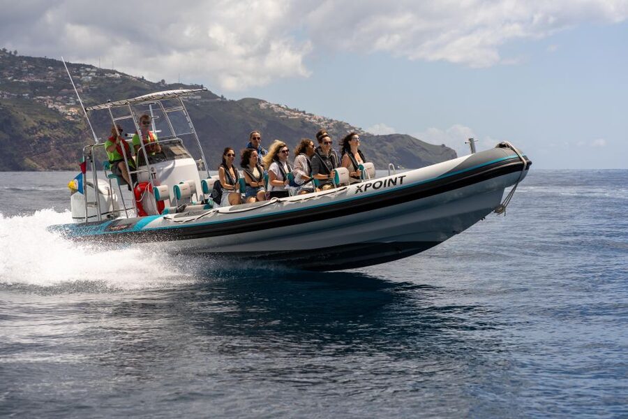 Funchal: RIB Whale Watching Cruise and Optional Dolphin Swim - Watching Dolphins and Whales From a Low Boat