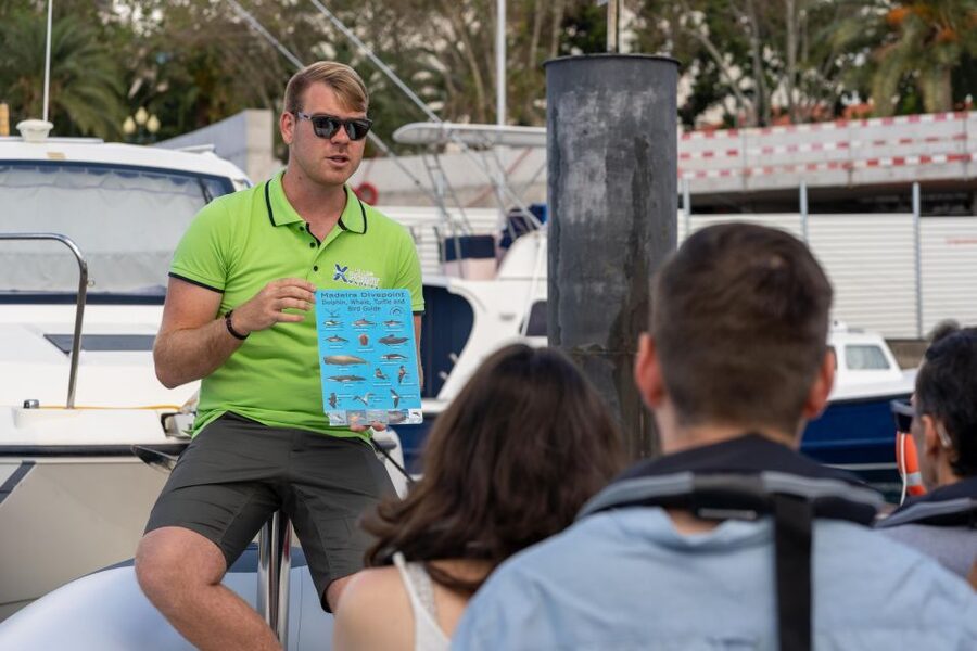 Funchal: RIB Whale Watching Cruise and Optional Dolphin Swim - Booking Details Worth Knowing
