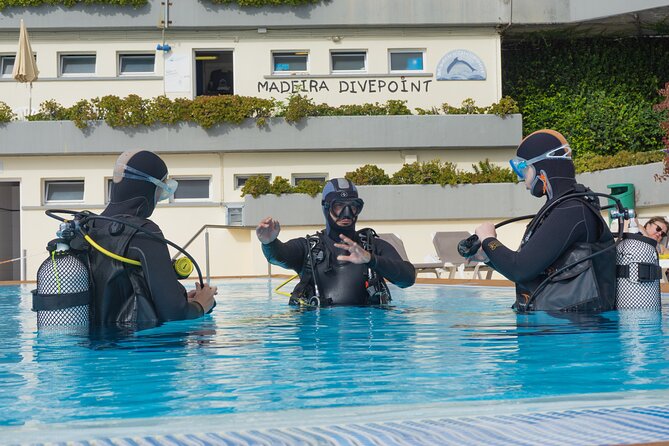 Funchal: Scuba Diving Experience for Beginners - Key points before you book