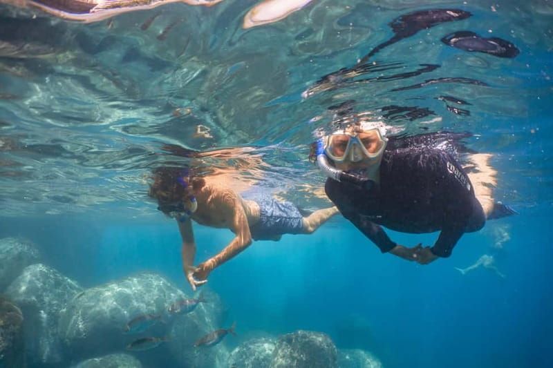 Funchal: Snorkeling Adventure in Eco-Park / Shore or by Boat - Key points to know before you book