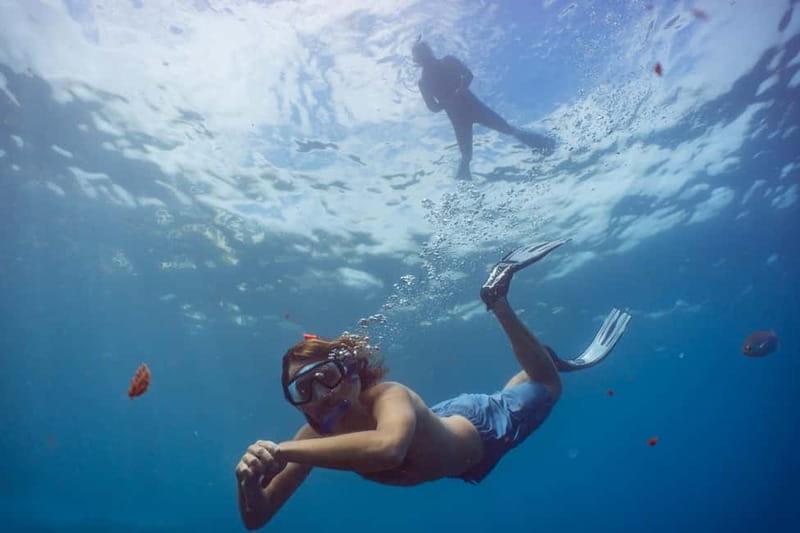 Funchal: Snorkeling Adventure in Eco-Park / Shore or by Boat - Starting at the Pestana Carlton hotel