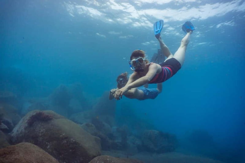 Funchal: Snorkeling Adventure in Eco-Park / Shore or by Boat - What you might see below the surface