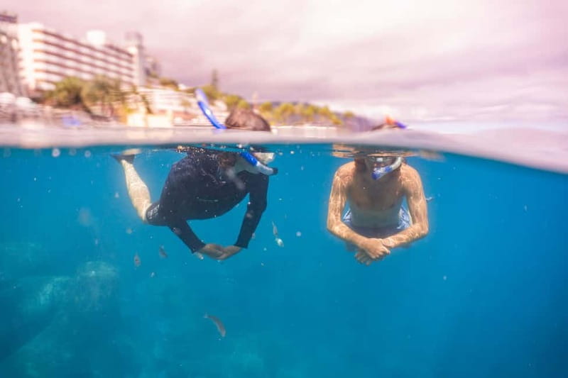 Funchal: Snorkeling Adventure in Eco-Park / Shore or by Boat - The briefing and lesson before the water