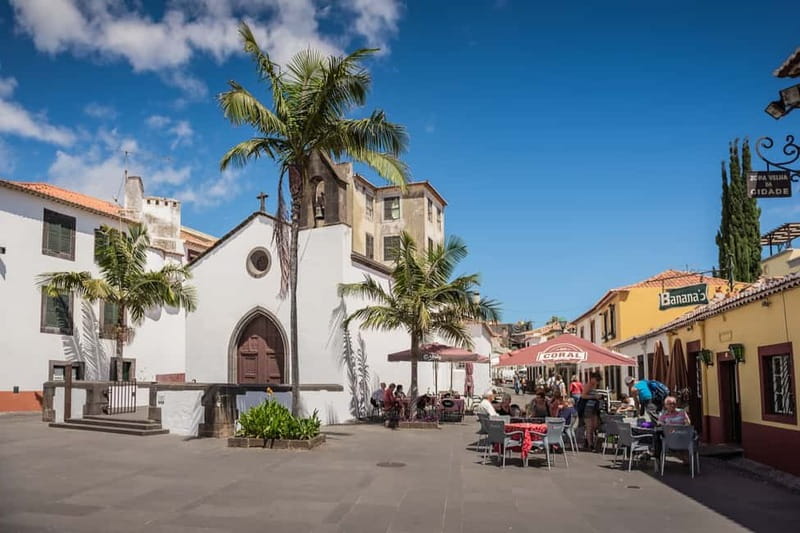 Funchal: Toboggan and Old Town Experience with Tukway - What the guides add to the ride