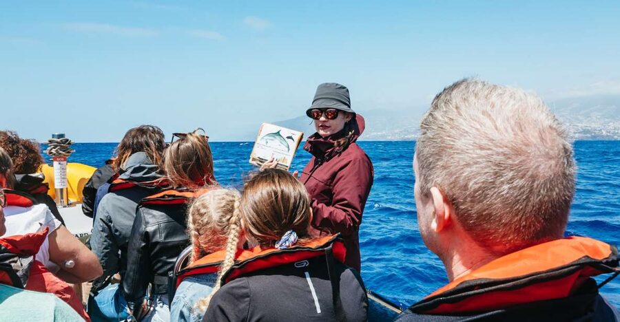 Funchal: Whale and Dolphin Watching Speed Boat Tour - Starting at Ventura Nature Emotions in Funchal Marina