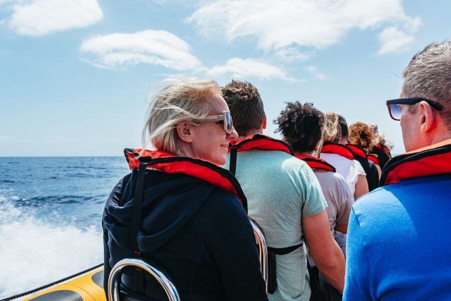 Funchal: Whale and Dolphin Watching Speed Boat Tour - Speed boat or larger catamaran?