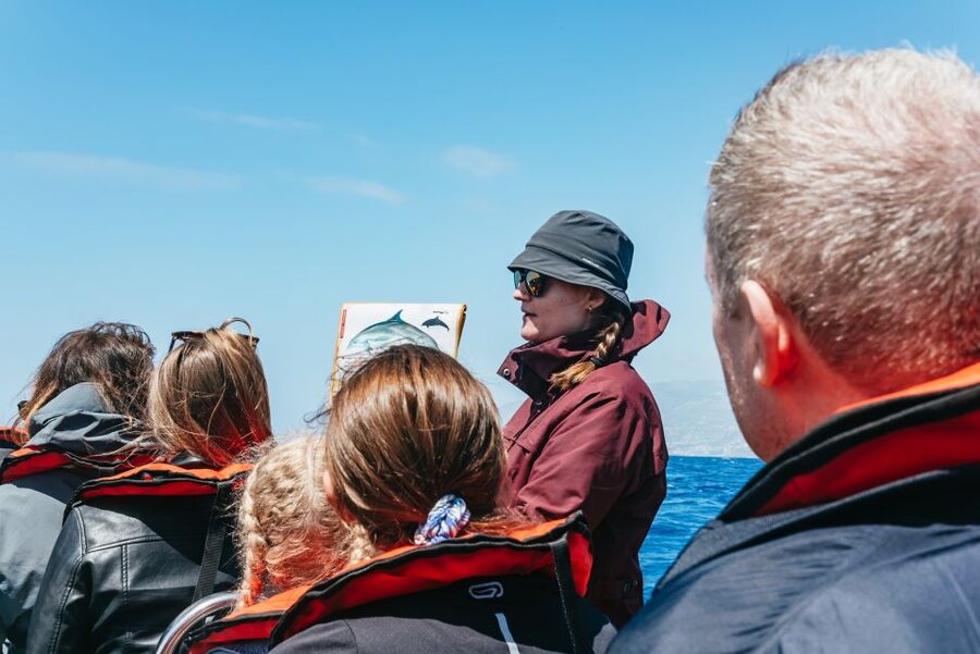 Funchal: Whale and Dolphin Watching Speed Boat Tour - Weather, comfort, and who should skip it