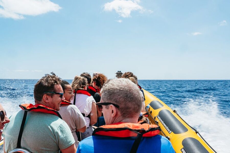 Funchal: Whale and Dolphin Watching Speed Boat Tour - Booking flexibility at the marina