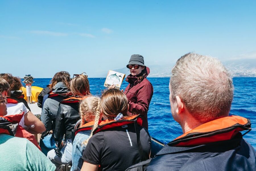 Funchal: Whale and Dolphin Watching Speed Boat Tour - The 2.5-hour route along Madeira’s coast