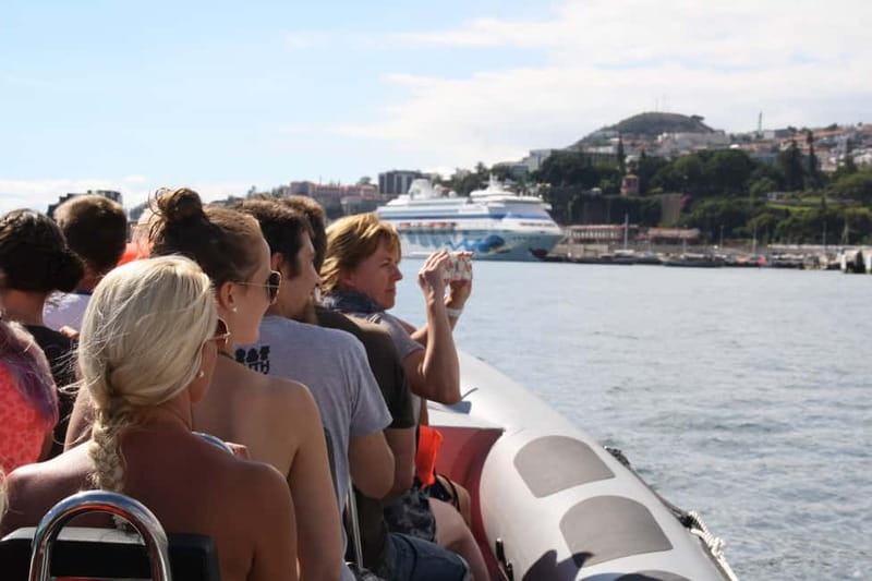 Funchal: Whale Watching and Swimming with Dolphins Cruise - Starting at Store 35 in Funchal