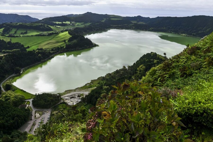 Furnas: Tea Plantations, Lake and Volcano Guided Tour - Starting early in Ponta Delgada