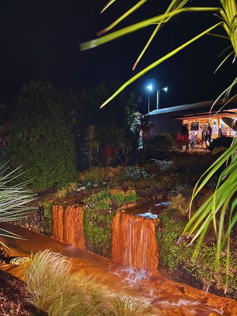 Furnas: the Mystic Tour (Dinner incl. + Hot Springs) - What the $103 price really includes