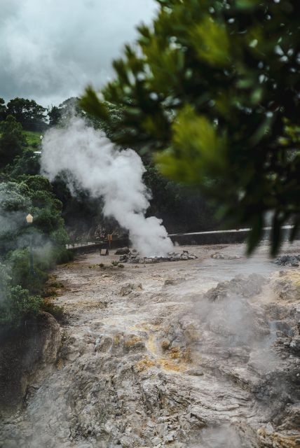 Furnas: Thermal Springs & Tea Plantation Day Tour with Lunch - Terra Nostra Park and the warm-water pool