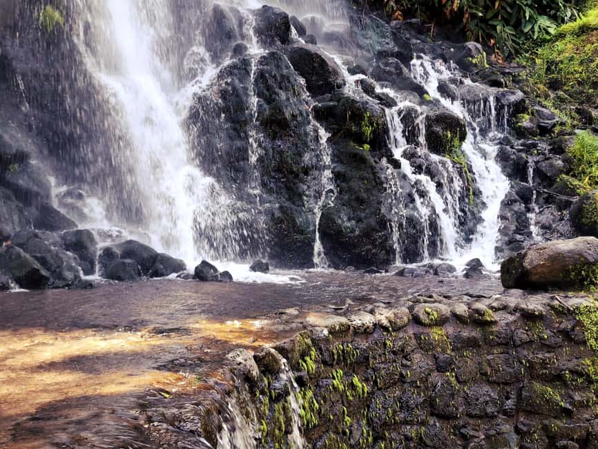 Furnas: Volcano Crater, Lake, Tea Plantation, and Waterfall - The essential details at a glance
