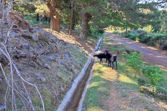 Gastro hike (Private Tour) - Is $96.12 per person a fair price?