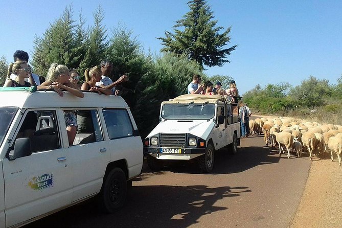 Half-Day Algarve Countryside and Villages Jeep Safari - Querenca farm tastings and the taste of local tradition