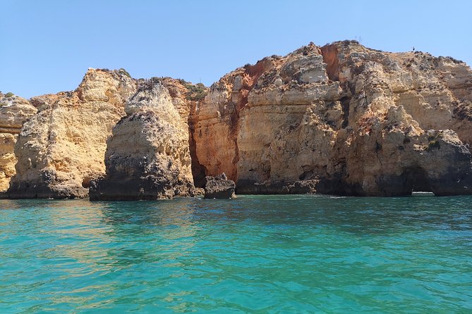 Half Day Cruise to Ponta da Piedade with Lunch and Drinks - What the $72.59 price really covers