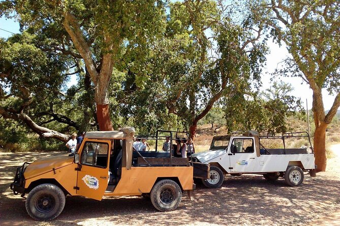 Half Day Safari Tour with Wine Tasting - Paderne and the changing route inland