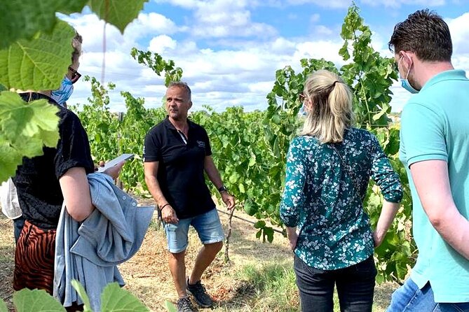 Half Day Safari Tour with Wine Tasting - Comfort, timing, and who should skip it