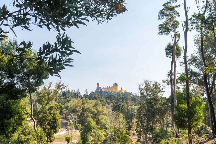 Half-Day Sintra Tour from Lisbon with Transfers - Is $176 a Fair Price?