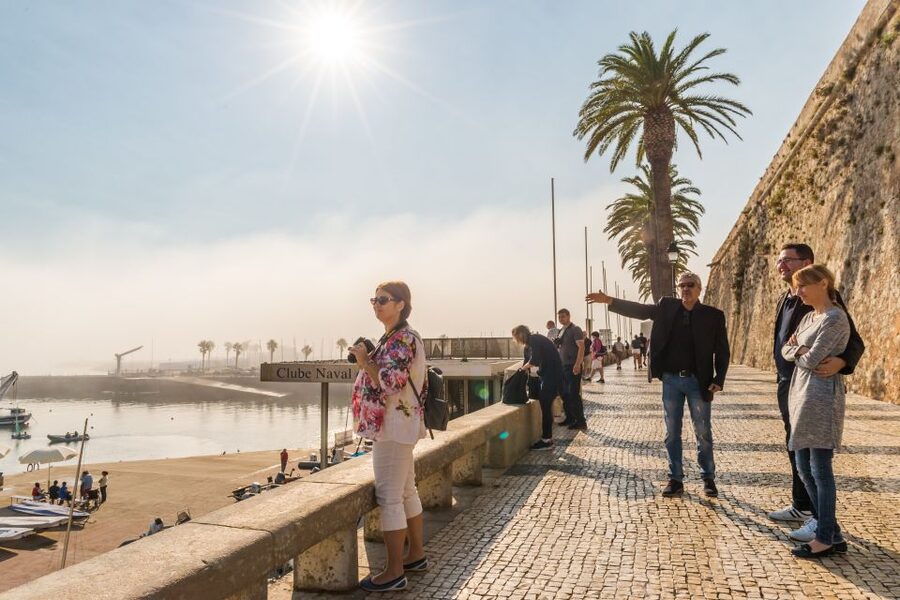 Half-Day Sintra Tour from Lisbon with Transfers - Choosing Between Pena Palace and Sintra Village