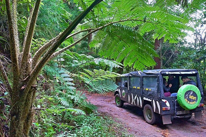 Half-Day Small-Group Madeira Village Safari from Funchal - What this three-hour Madeira safari really offers