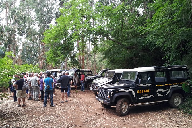 Half-Day Small-Group Madeira Village Safari from Funchal - Is $53.23 good value for half a day?
