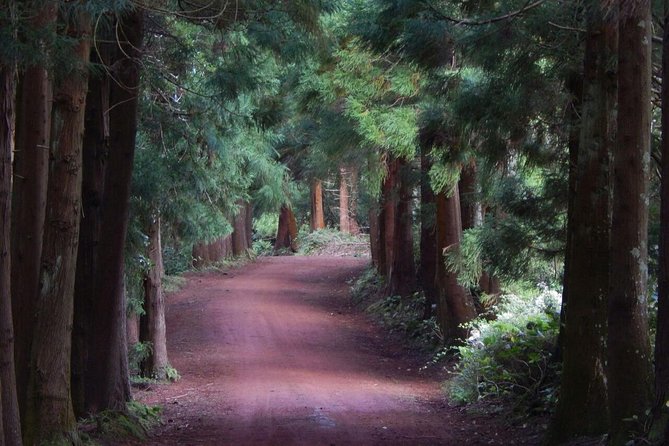 Half Day Terceira Island Tour by 4x4 - Vehicle comfort deserves a close look