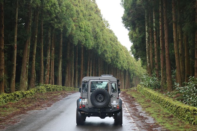 Half Day Terceira Island Tour by 4x4 - Who will enjoy this Terceira tour most