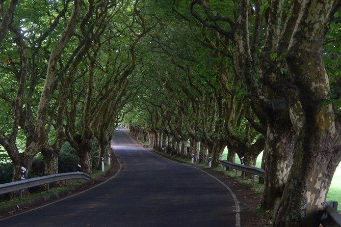 Half Day Terceira Island Tour by 4x4 - Four hours of viewpoints, country roads, and island flora