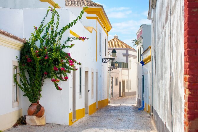 Highlights & Hidden Gems of Faro Private Tour - Who should book this Faro experience?