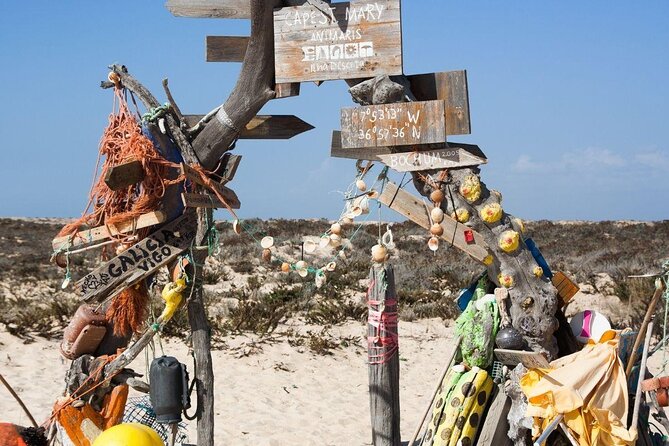 Hop On Hop Off 3 Islands: Deserta, Farol and Culatra - Key points to know before you go