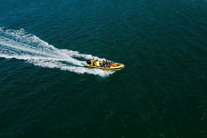 Hop On Hop Off 3 Islands: Deserta, Farol and Culatra - Starting at Cais das Portas do Mar in Faro