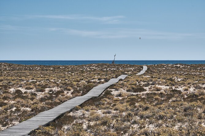 Hop On Hop Off 3 Islands: Deserta, Farol and Culatra - Culatra: the working island community