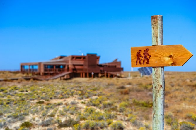 Hop On Hop Off 3 Islands: Deserta, Farol and Culatra - Weather, timing, and booking advice