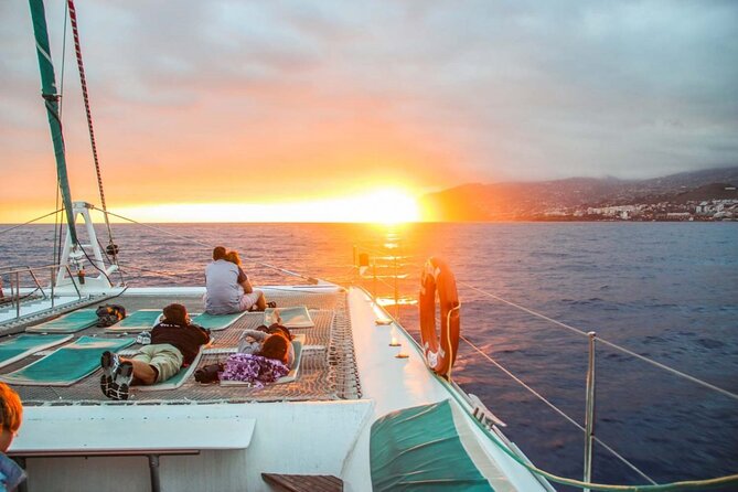 Hop-on Hop-off Bus Tour and Catamaran Whale & Dolphin Watching - Key points at a glance